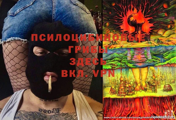 первитин Алексин
